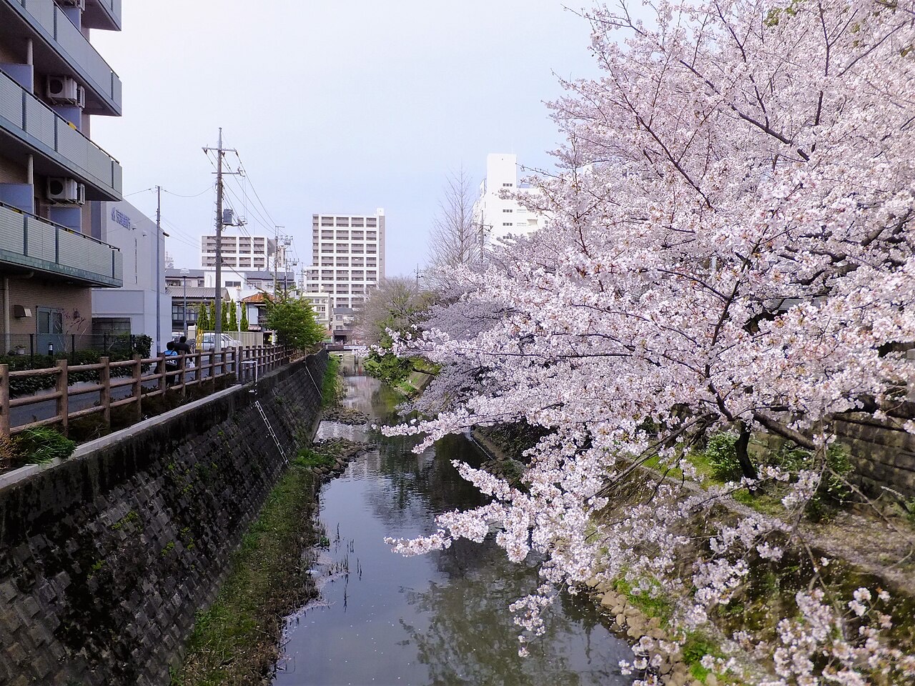 Sakagawa waterside walk — Harusame Bridge to the brick sluice